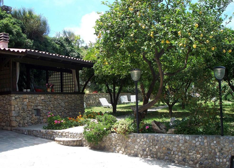 La Tana Del Tasso Ventimiglia Bed & Breakfast Exterior photo